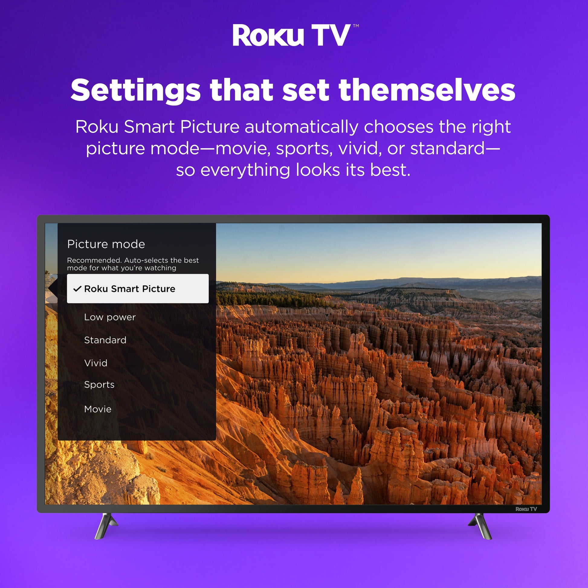 43" Class 4K UHD LED LCD Smart Roku TV HDR R6 Series 43R6E3