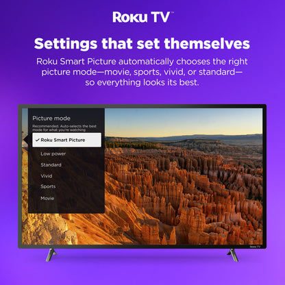 43" Class 4K UHD LED LCD Smart Roku TV HDR R6 Series 43R6E3